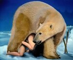 рисунок голая женщина спряталась под животом полярного медве